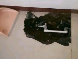 港闸卫生间测漏水多少钱